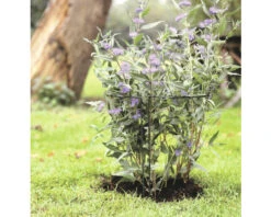 NATURE Plantensteun 100 X 45 X 24 Cm -Home gereedschap DV 8 10610638 01 4c NL 20221021212842