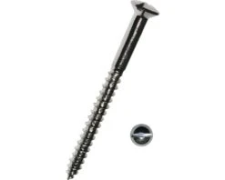 DRESSELHAUS Houtschroef Lenskop Sleuf 5x50 Mm DIN 95 Messing Verchroomd, 10 Stuks