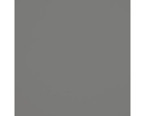 GUTTAGLIS® Kunststofplaat Hobbycolor Grijs 500 X 500 X 3,0 Mm 3 GUTTAGLIS® Kunststofplaat Hobbycolor Grijs 500 X 500 X 3,0 Mm